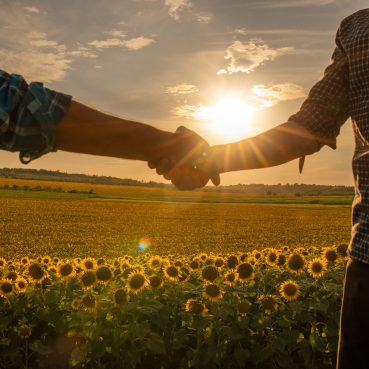 prolandcare.mu services (2)