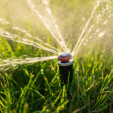 prolandcare.mu services